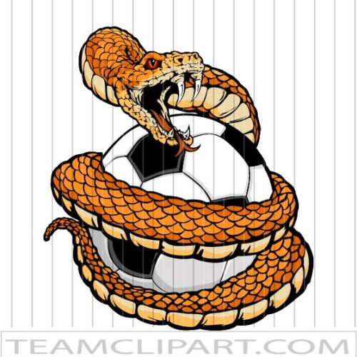 Vector Soccer Rattlesnake