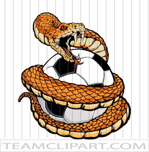 Vector Soccer Rattlesnake