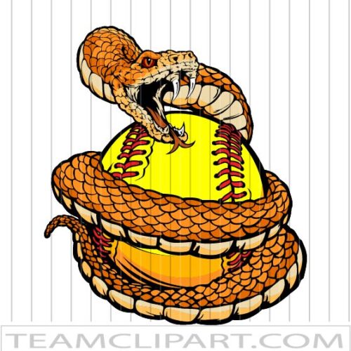 Vector Softball Rattlesnake