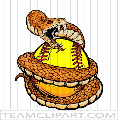 Vector Softball Rattlesnake