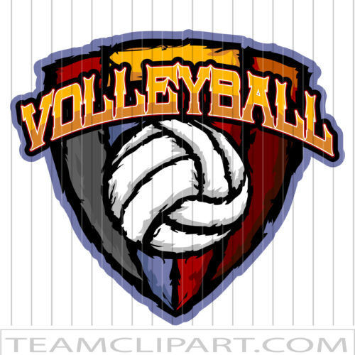 Cool Volleyball Design