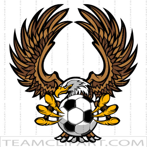 Soccer Eagle Design