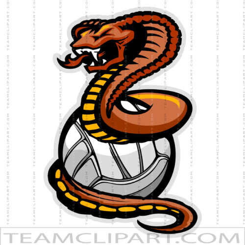 Cobra Volleyball Logo