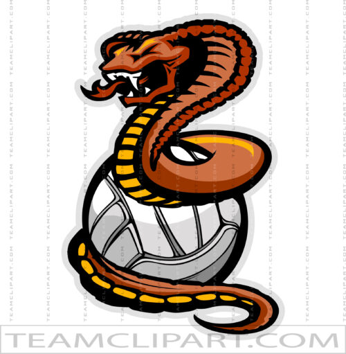 Cobra Volleyball Logo