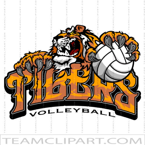 Tigers Volleyball Graphic